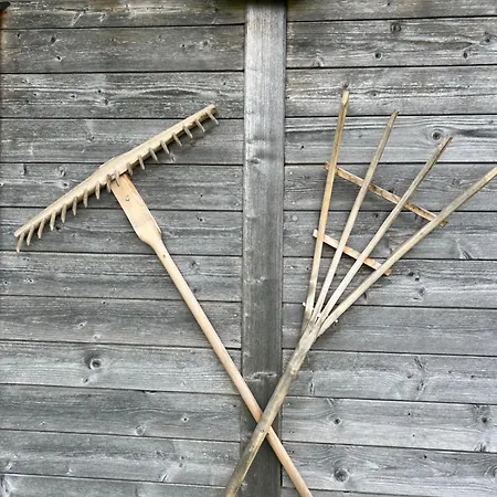 Ferienhaeuschen In * Mariahof