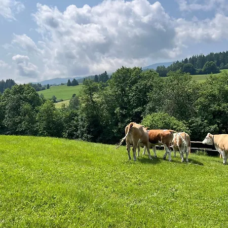 Apartmán Ferienhaeuschen In
