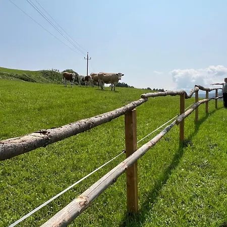 Ferienhaeuschen In 公寓 马里亚霍夫